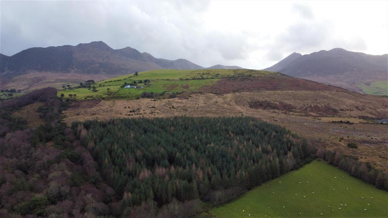 Mount Alohert House Killarney Eksteriør billede